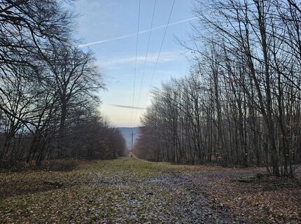 Fotografia z Attila Bicskó na trase