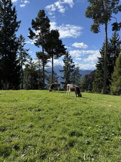 Fotografia z Thorsten Janotta na trase