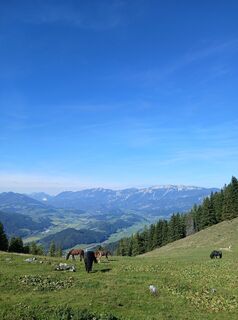 Foto von Pascal 36 entlang der Tour