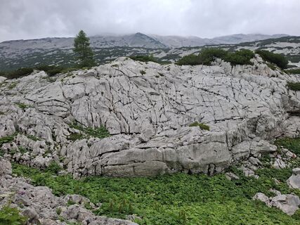 Photo de Mike the hike le long du parcours