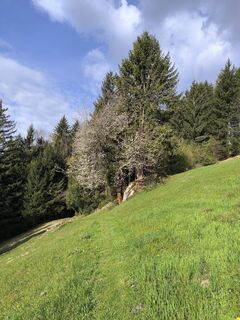Foto von Tobias Peschanel entlang der Tour
