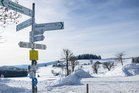 Winter in Breitnau
