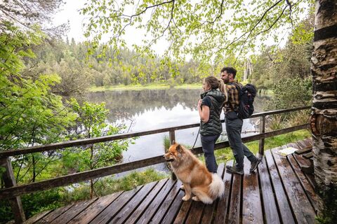Wandern am Blindensee
