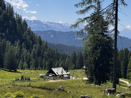 Fotografia z Friederike Steyrer na trase