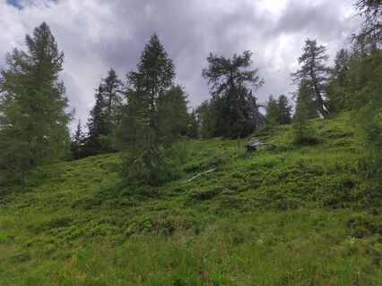 Foto von Christian Haßmann entlang der Tour