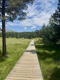 Fotografia z Thomas Pfiffner na trase