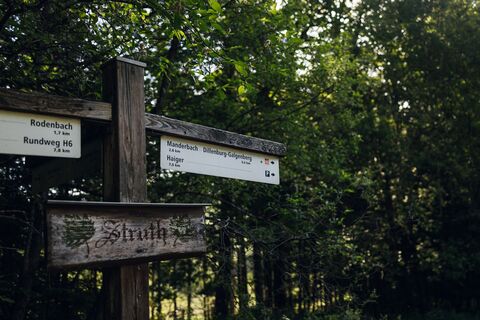 Zemljevid