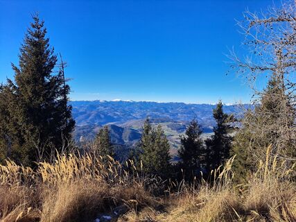 Foto von Angelika Raffer entlang der Tour