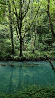 Fotografija s spletne strani Franca Škarja na poti