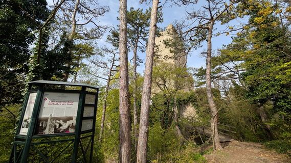 Foto von Otaku entlang der Tour