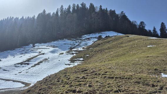 Foto de Szuki76 a lo largo del recorrido