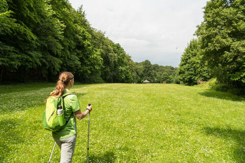 AhrtSteig Paradiswiese, Bad Neuenahr