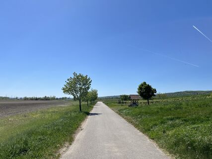 Foto de László Tschürtz a lo largo del recorrido