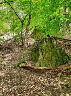 Foto von Marco Sandfort-Wessels entlang der Tour