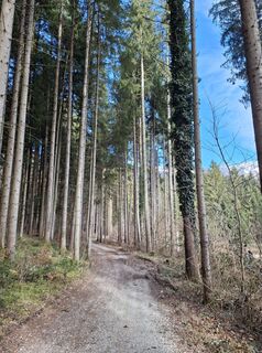 Zdjęcie z Miha Gros wzdłuż trasy