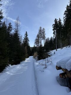 Foto von Elle entlang der Tour