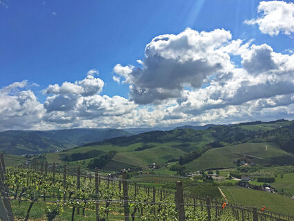 Aussicht von der Kapelle ins Renchtal