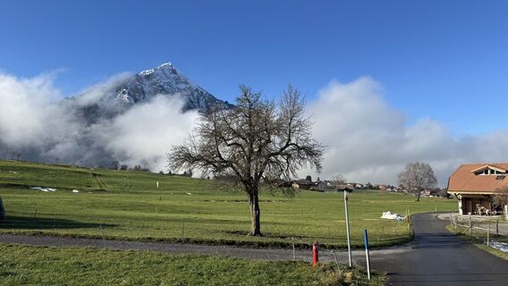 Foto von peter_oe entlang der Tour