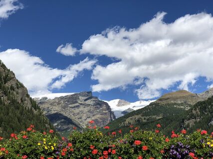 Foto von René Bachmann entlang der Tour