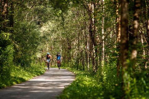 lienzer-talbodenrunde-radfahrer-waldweg-c-erwin-haiden-nyx.at