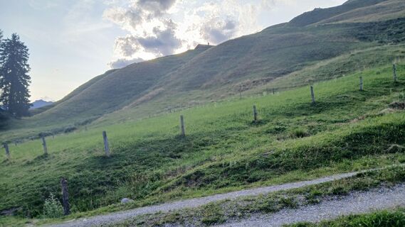 Foto von Fantom RoK entlang der Tour