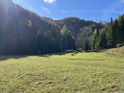 Fotografie z Anton Gigele na trase