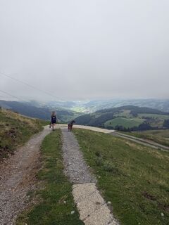 Foto von Andreas Geselle entlang der Tour