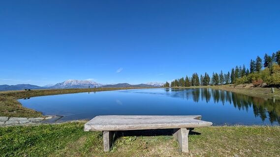 Foto de Pfefferam a lo largo del recorrido
