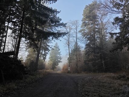 Foto de Sabine a lo largo del recorrido