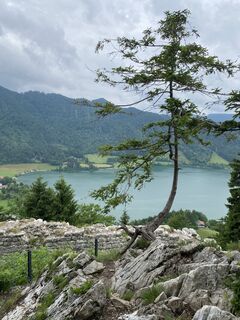 Fotografija s spletne strani Sven Krieblin na poti