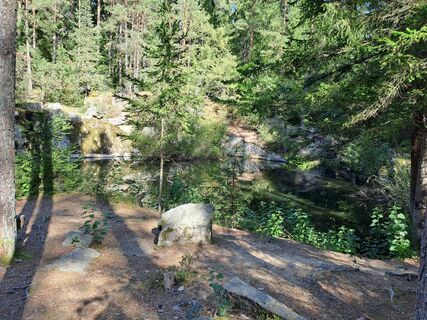 Photo de T. E. 1 le long du parcours