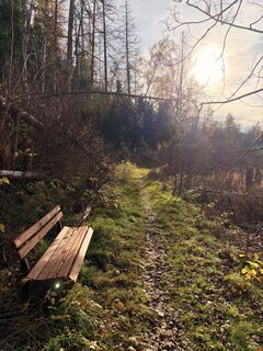 Fotografia z TallWanderBilly na trase