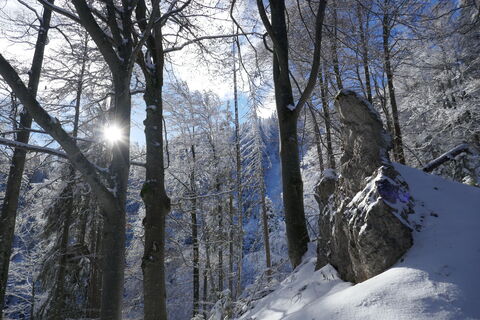 Beim Aufstieg im Märchenwald
