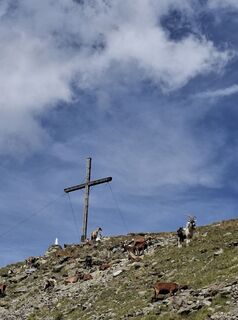 Foto von Magnus Moser entlang der Tour