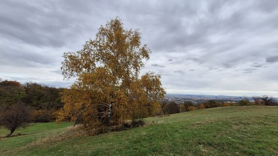 Foto von Regina Fleischmann entlang der Tour