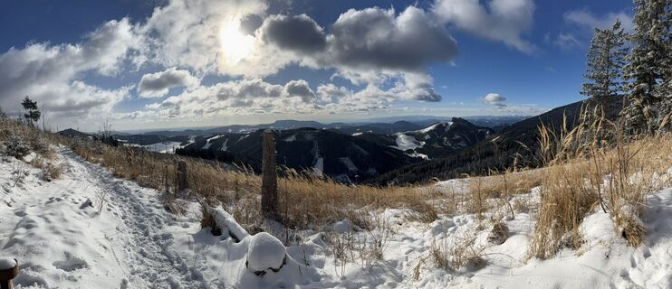 Foto von Elvis entlang der Tour