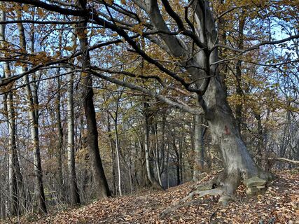 Zdjęcie z “Jerry” Brunetti wzdłuż trasy