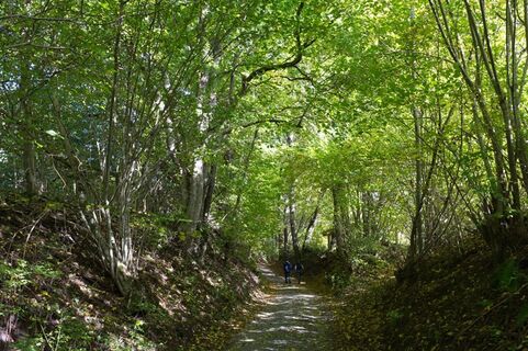 Gaildorf chillt am Gaildorfer Kirchberg