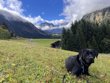 Foto von Joel Schmiddunser entlang der Tour