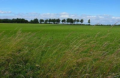 Panoramablick unterwegs