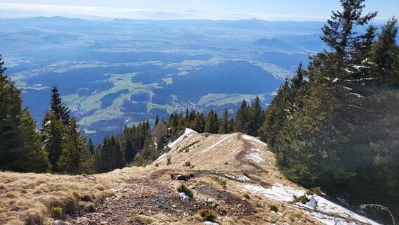 Fotografija s spletne strani Igor napast na poti