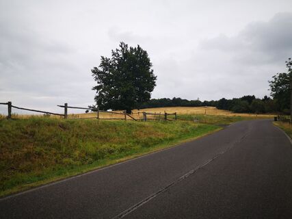 Photo de Denis Trapp 1 le long du parcours