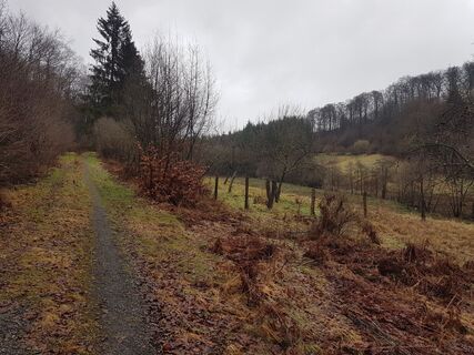 Wanderweg E2 Meschede Eversberg
