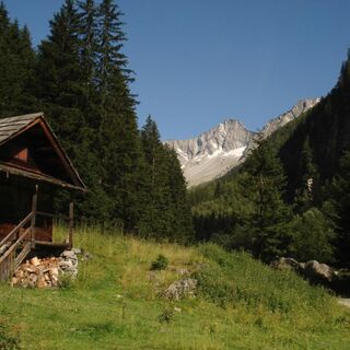 Kurz vor der Schwussner Hütte im Seebachtal