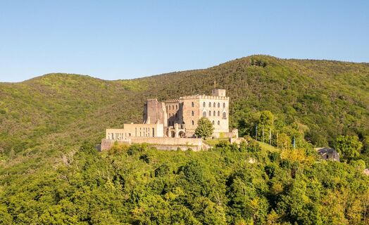Hambacher Schloss -  Dominik Ketz
