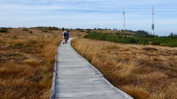 Foto de haecmaec a lo largo del recorrido