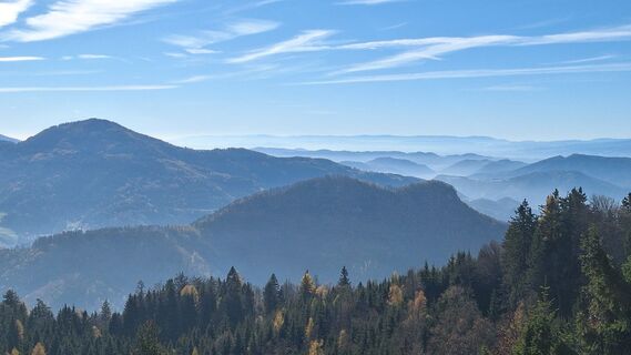 Fotografija s spletne strani Regina Fleischmann na poti