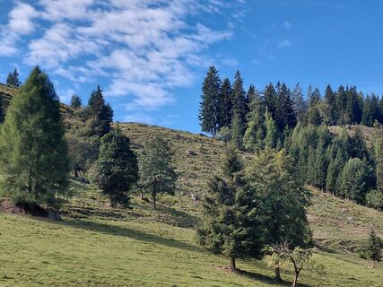 Photo de Sabine Steuxner le long du parcours