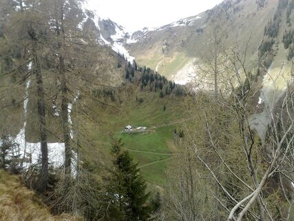 Frondell Alm von oben
