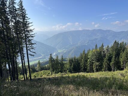 Photo de Máté Váncsa le long du parcours